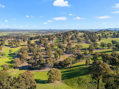 95 Daisyburn Road, Hilldene