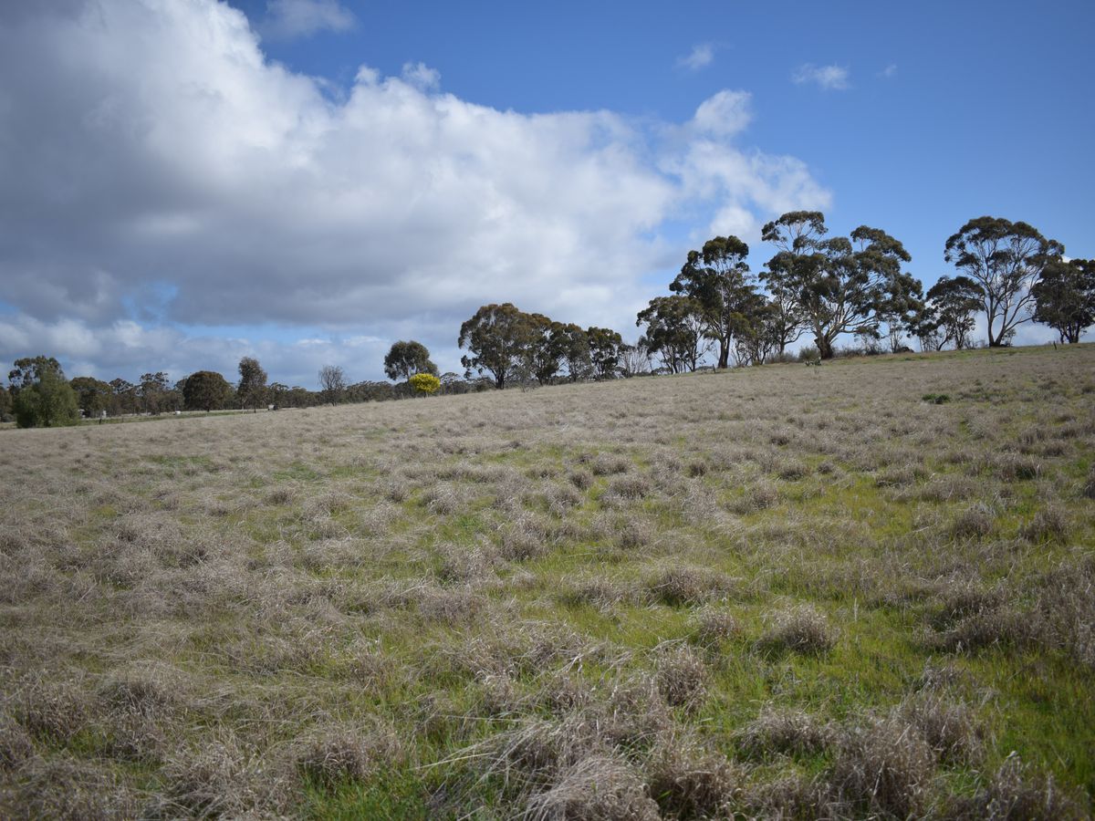 4 Eucy Road, Korong Vale
