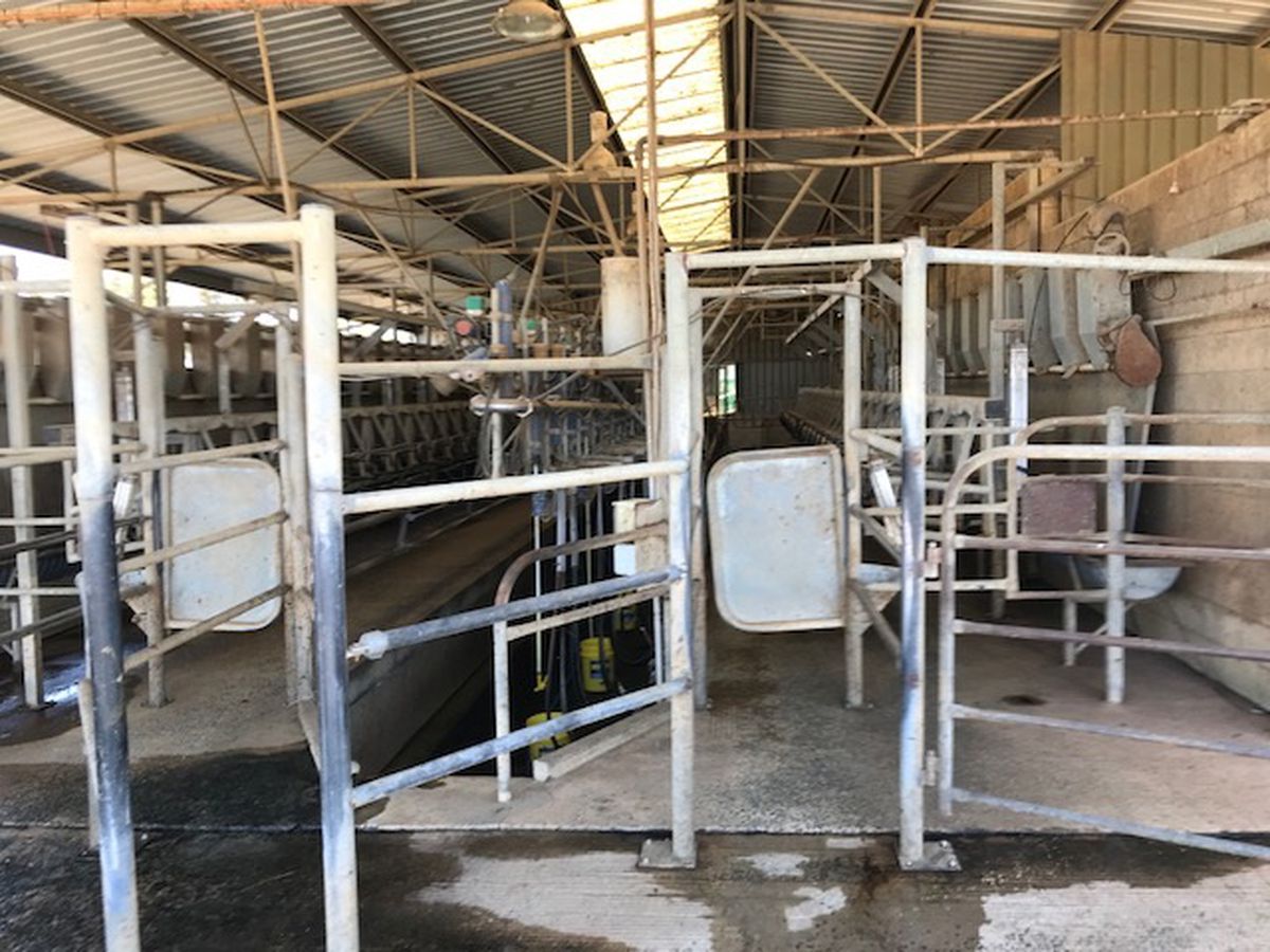 877 Echuca-Nanneella Road, Nanneella