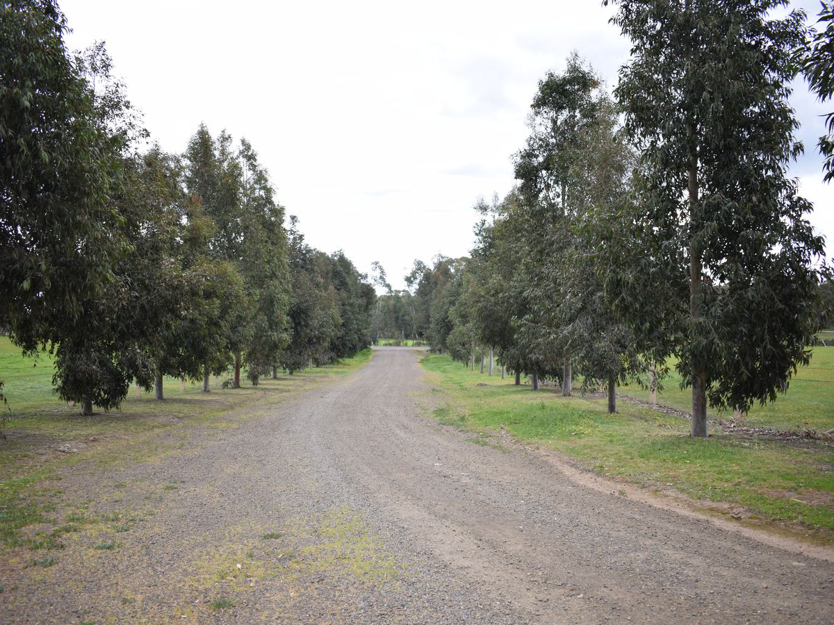 517 Crusoe Road, Lockwood South