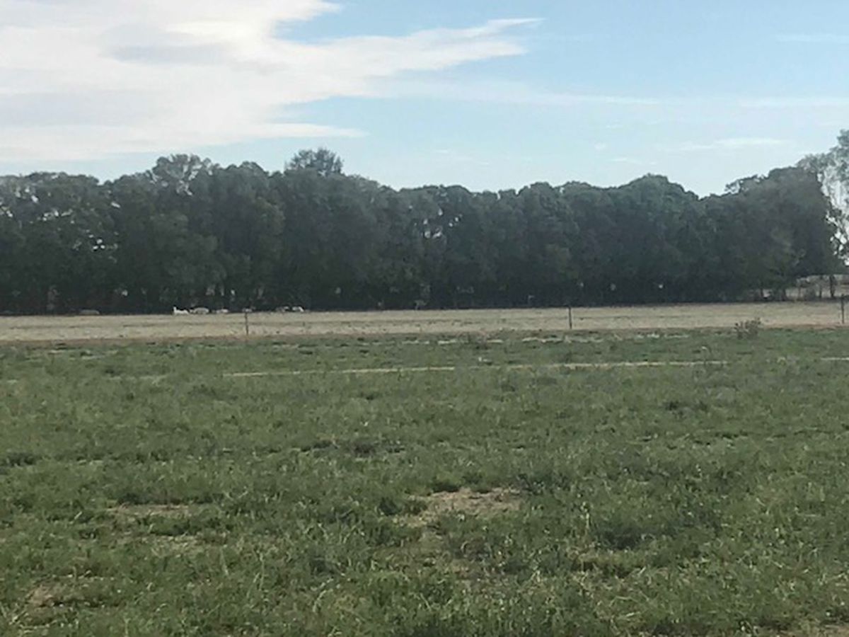 698 Bamawm Road, Bamawm