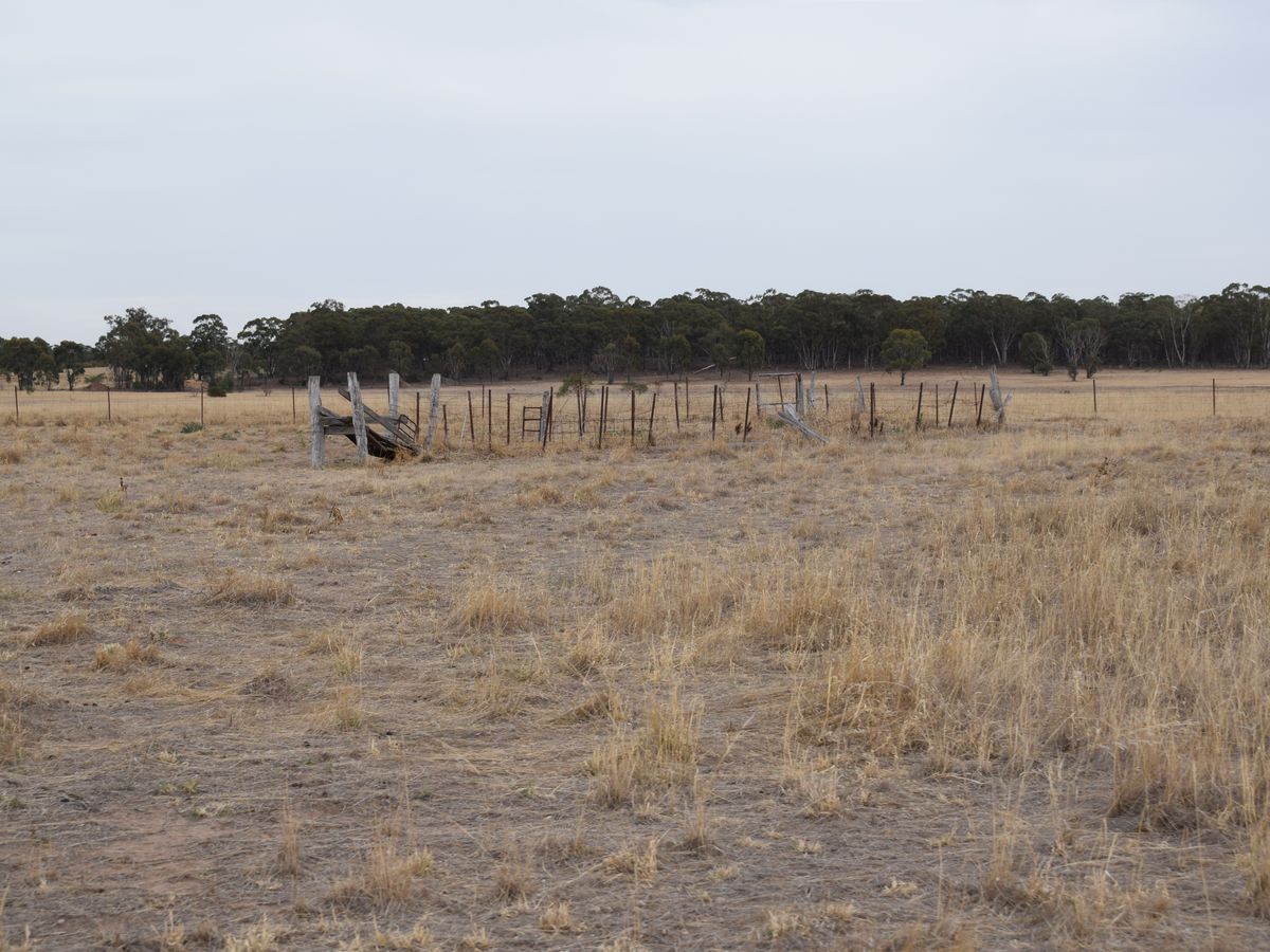 Lot 43, MCGUIRES ROAD, Bridgewater