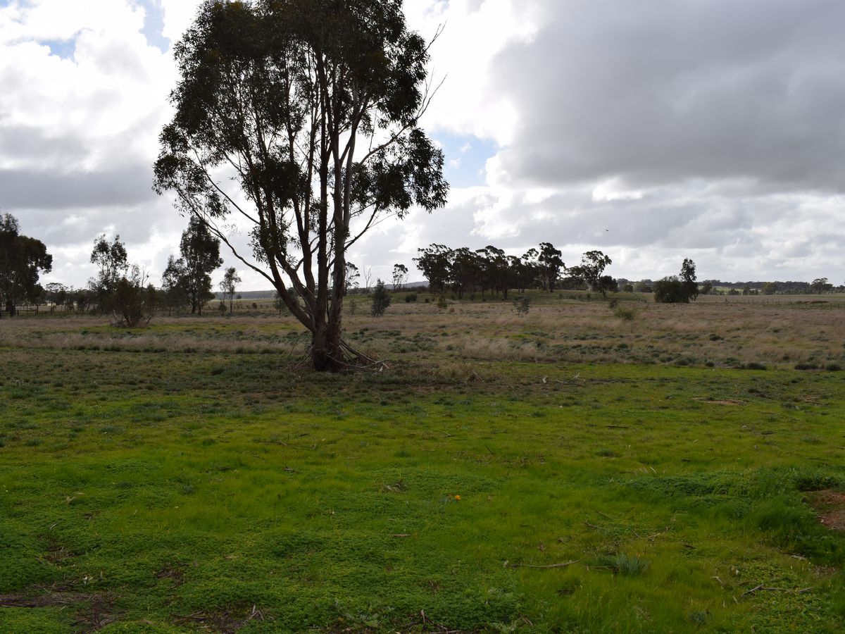 4 Eucy Road, Korong Vale