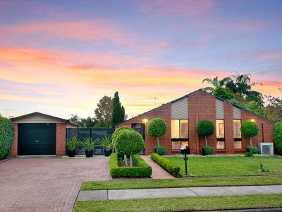 3 Solander Drive, St Clair