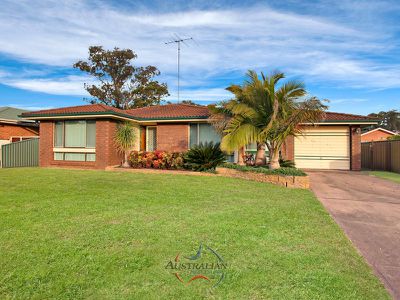 3 Hibiscus Court, St Clair