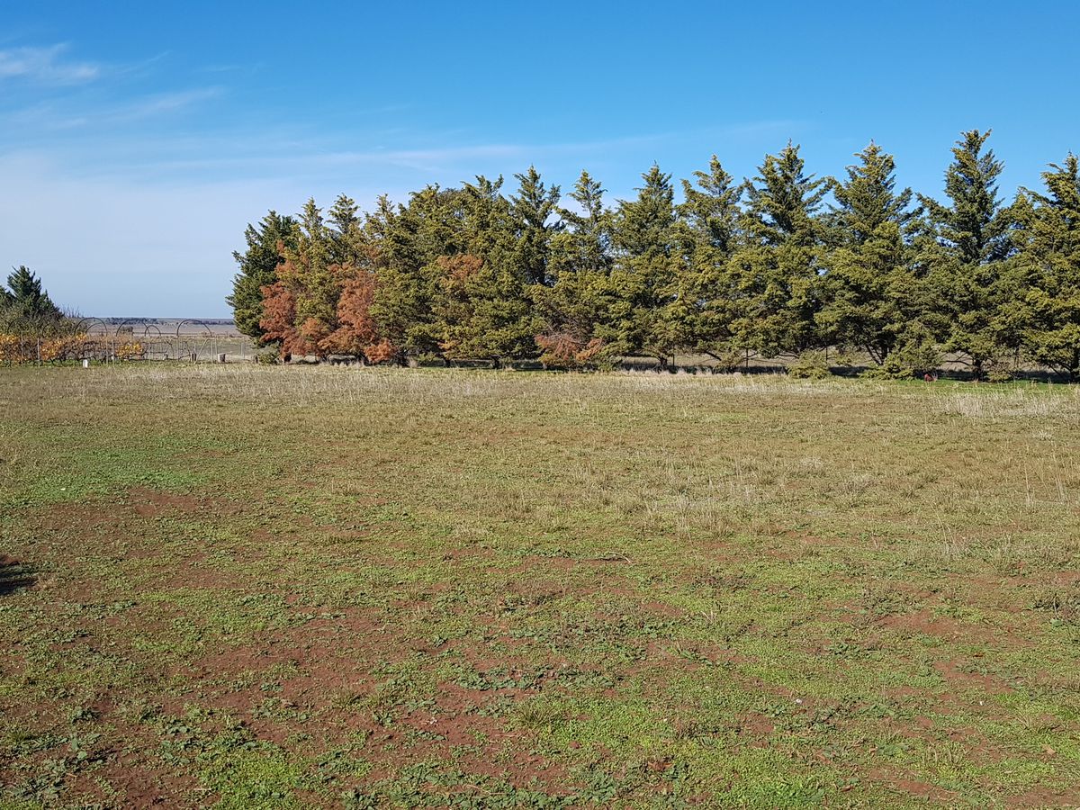 50 School Road, Corop