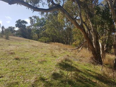 645 Seymour-Pyalong Road, Tallarook