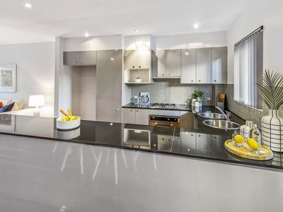 65 Justin Street, Lilyfield