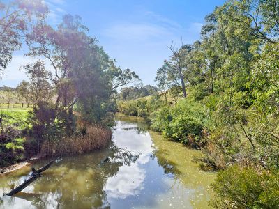 155 Yellow Box Road, Hilldene