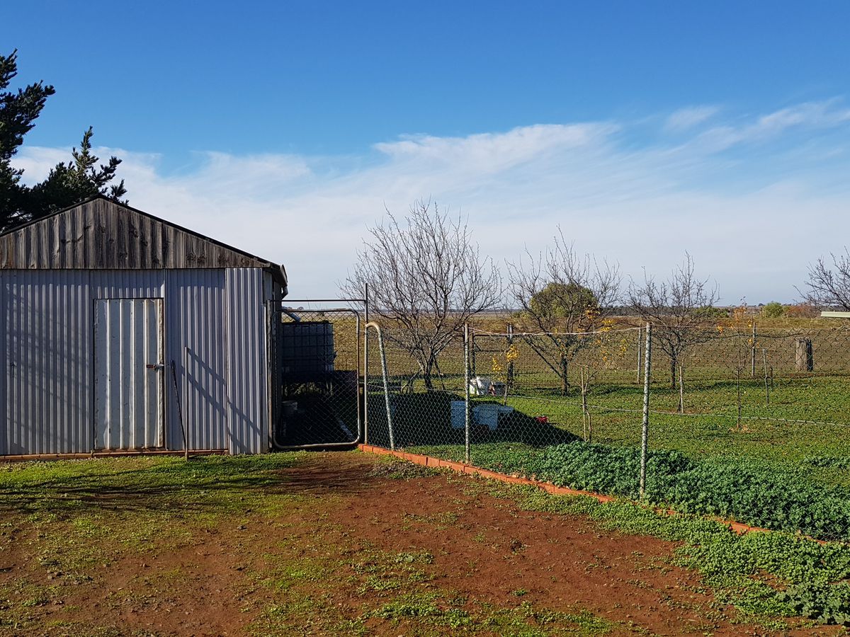 50 School Road, Corop