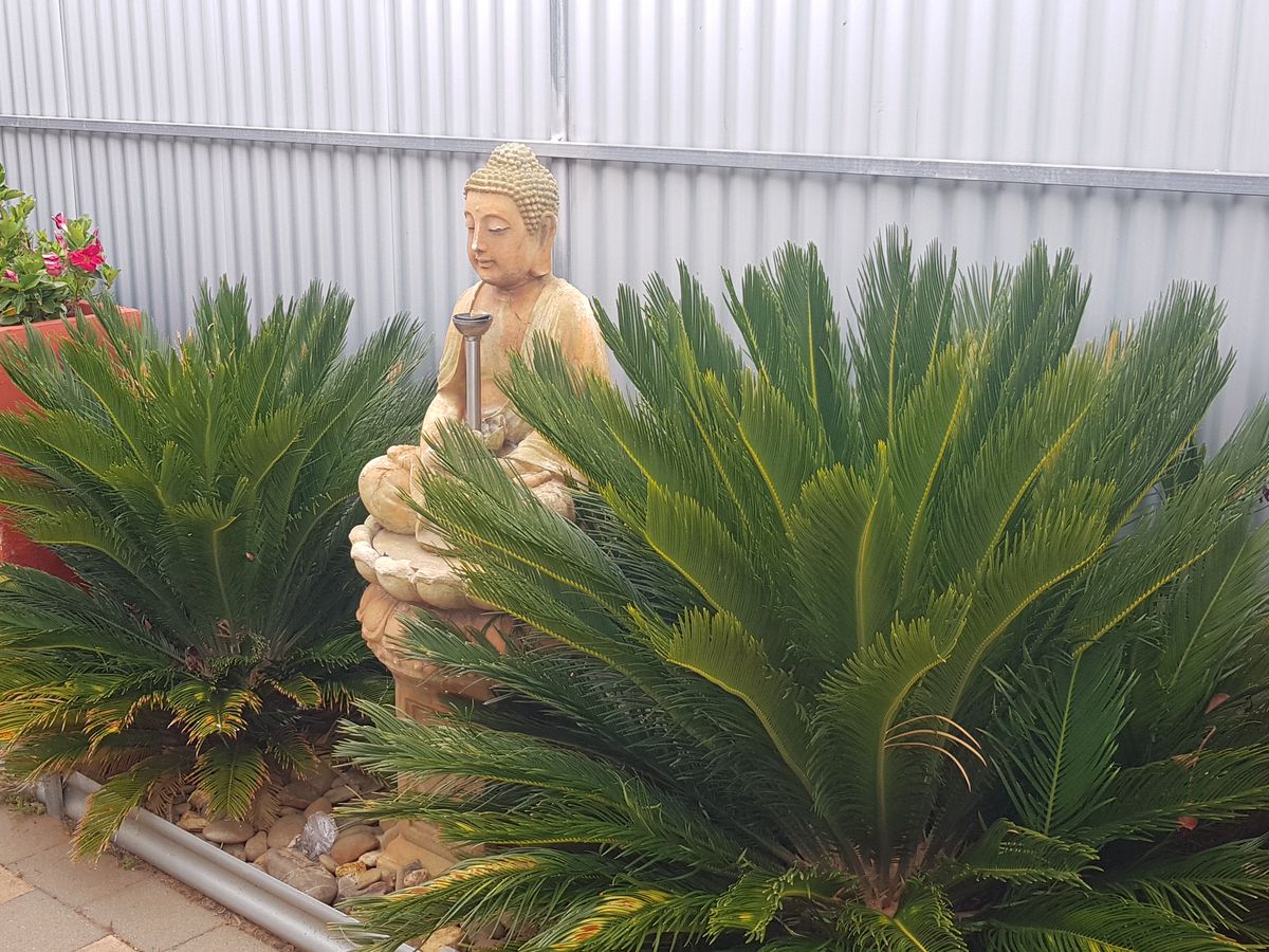 68 Victoria Street, Rochester