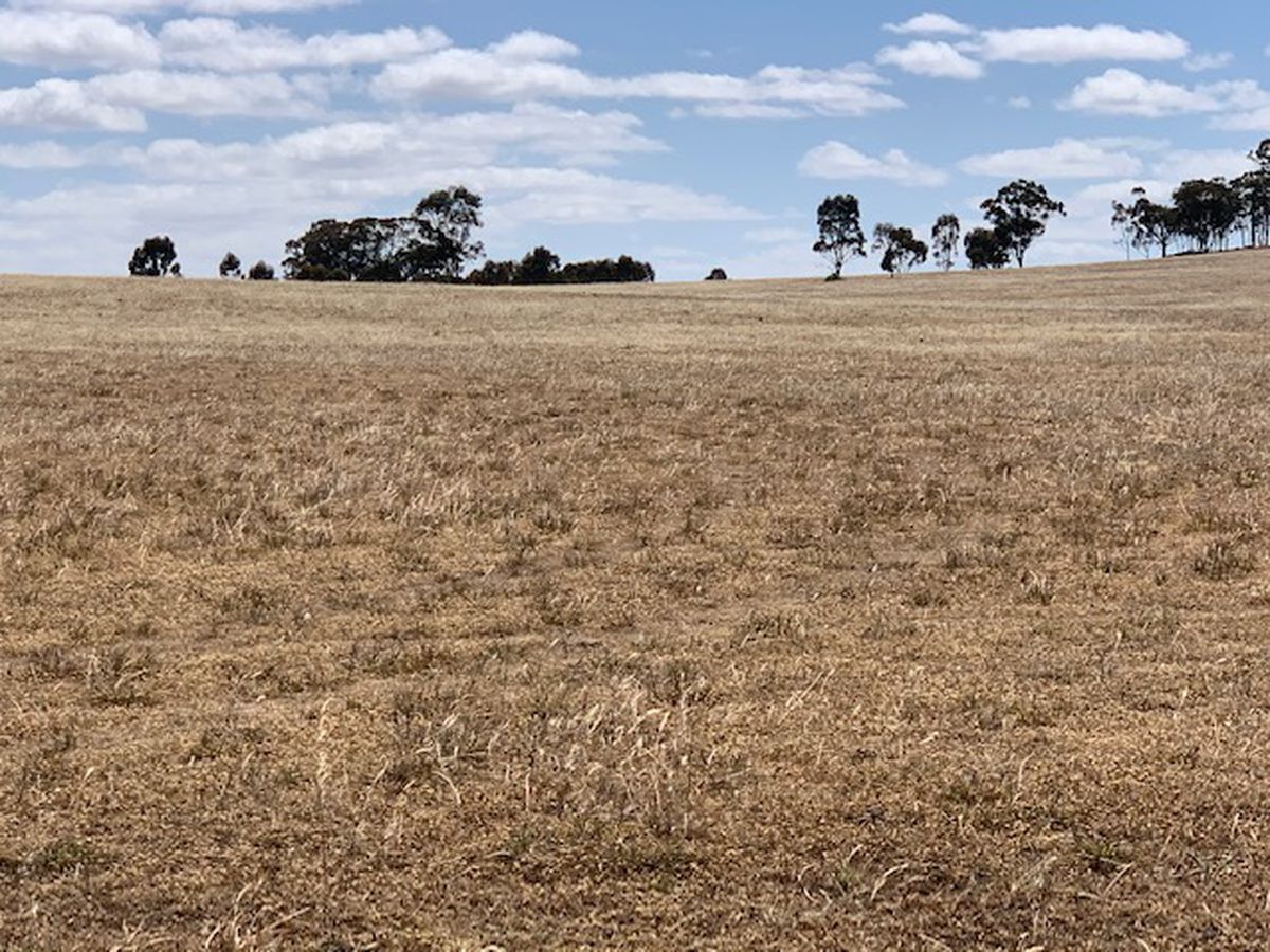 3176 Hanrahan Road, Corop