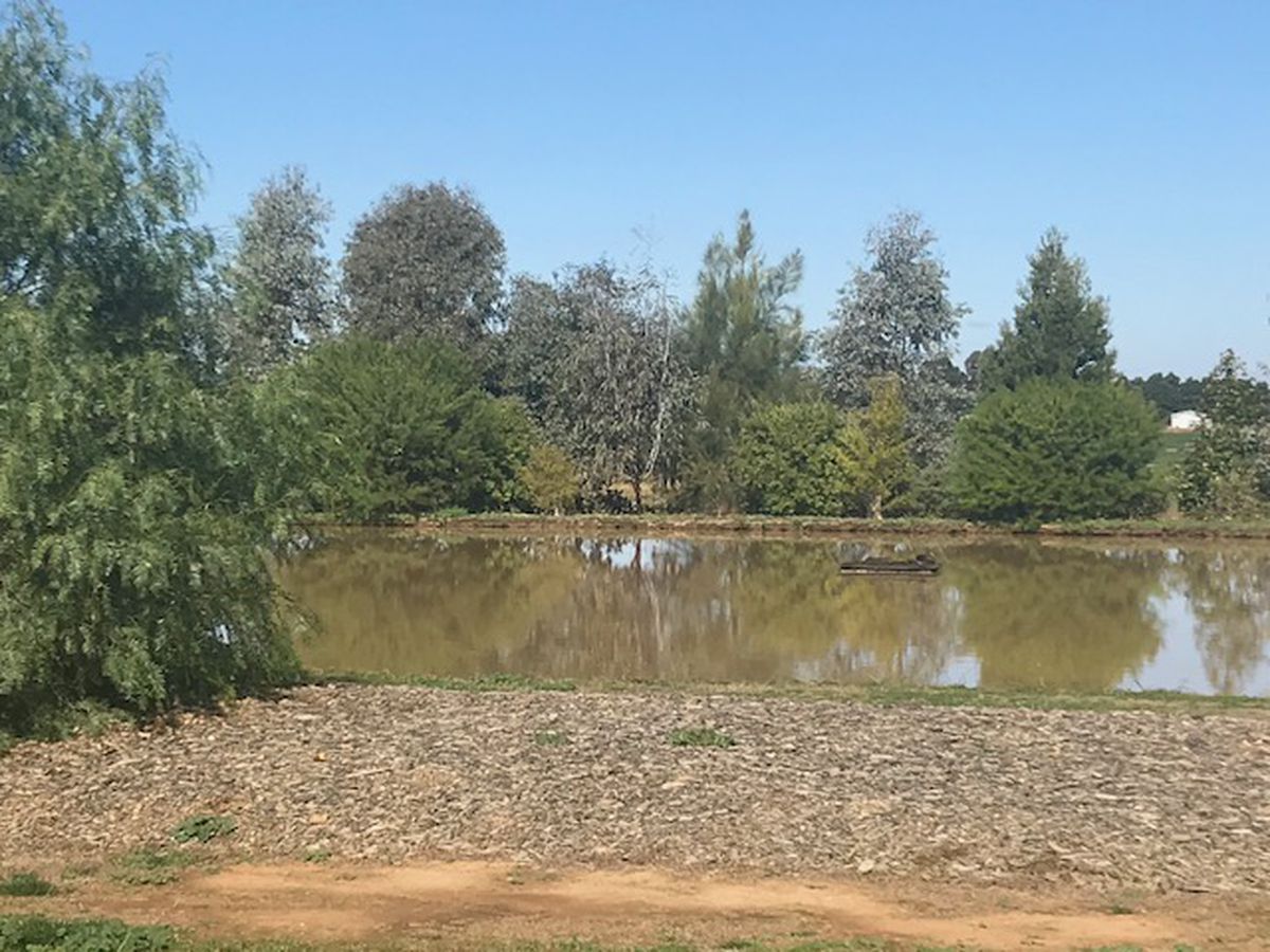 106 Bangerang Road, Echuca Village