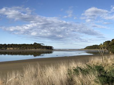 2483 Papatowai Highway, Owaka