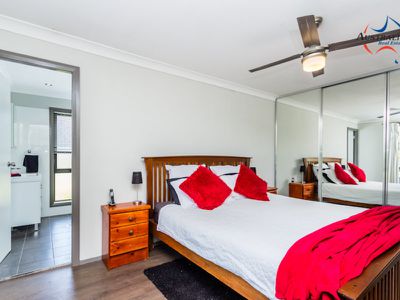 50 Solander Drive, St Clair