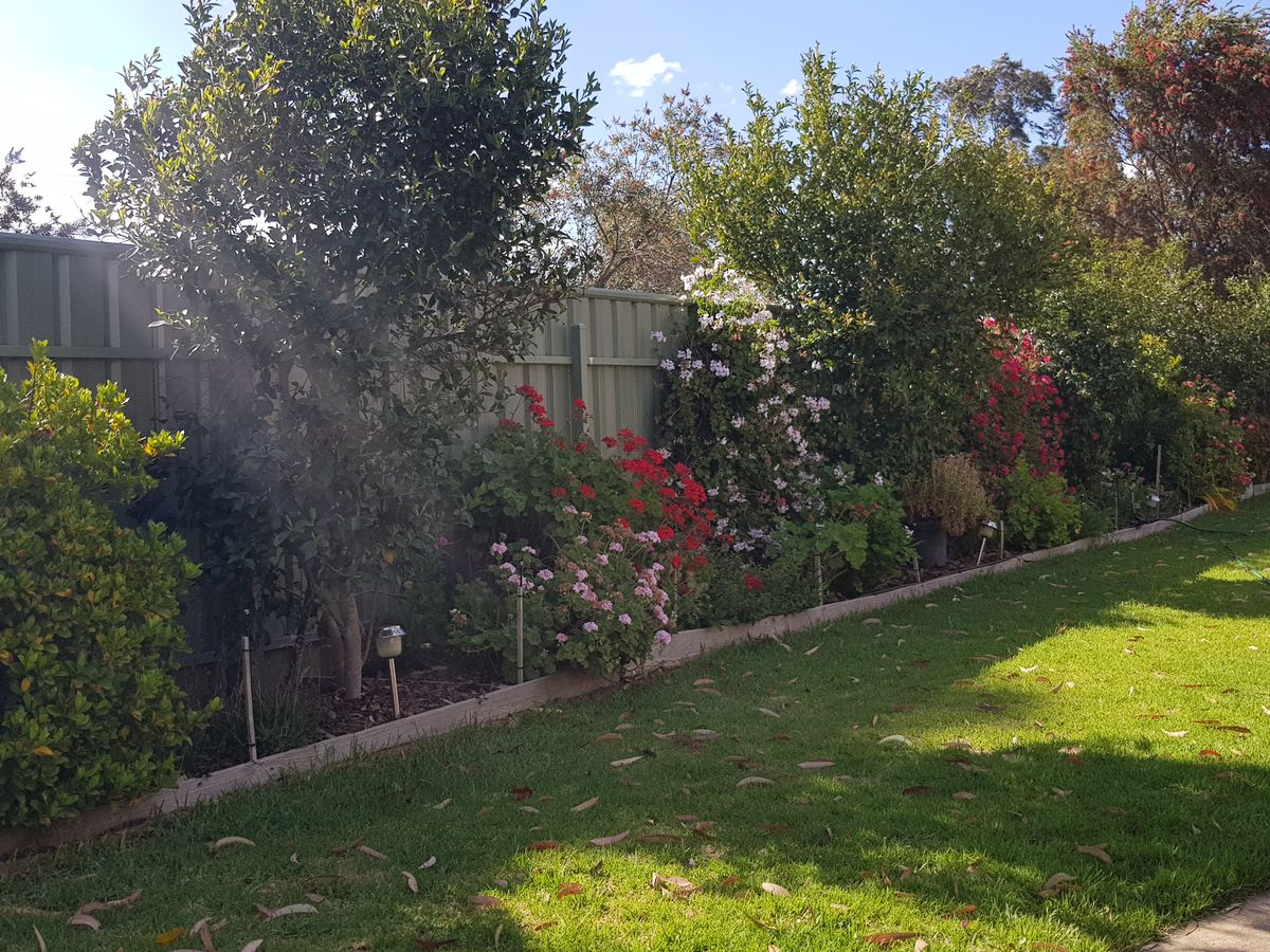 2 Edward St , Rochester