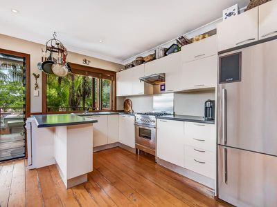 16 Ryan Street, Lilyfield