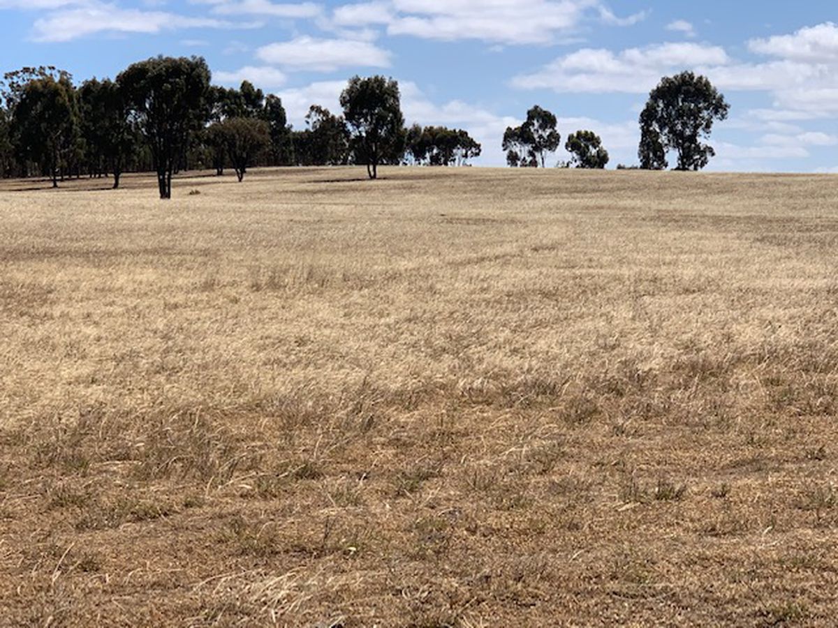 3176 Hanrahan Road, Corop