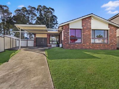 8 Menzies Circuit, St Clair