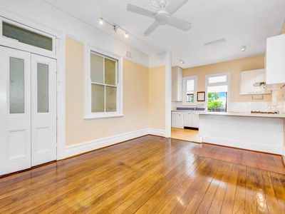 56 Ryan Street, Lilyfield