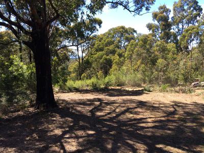 50 Bushy Park Estate Road, Kinglake
