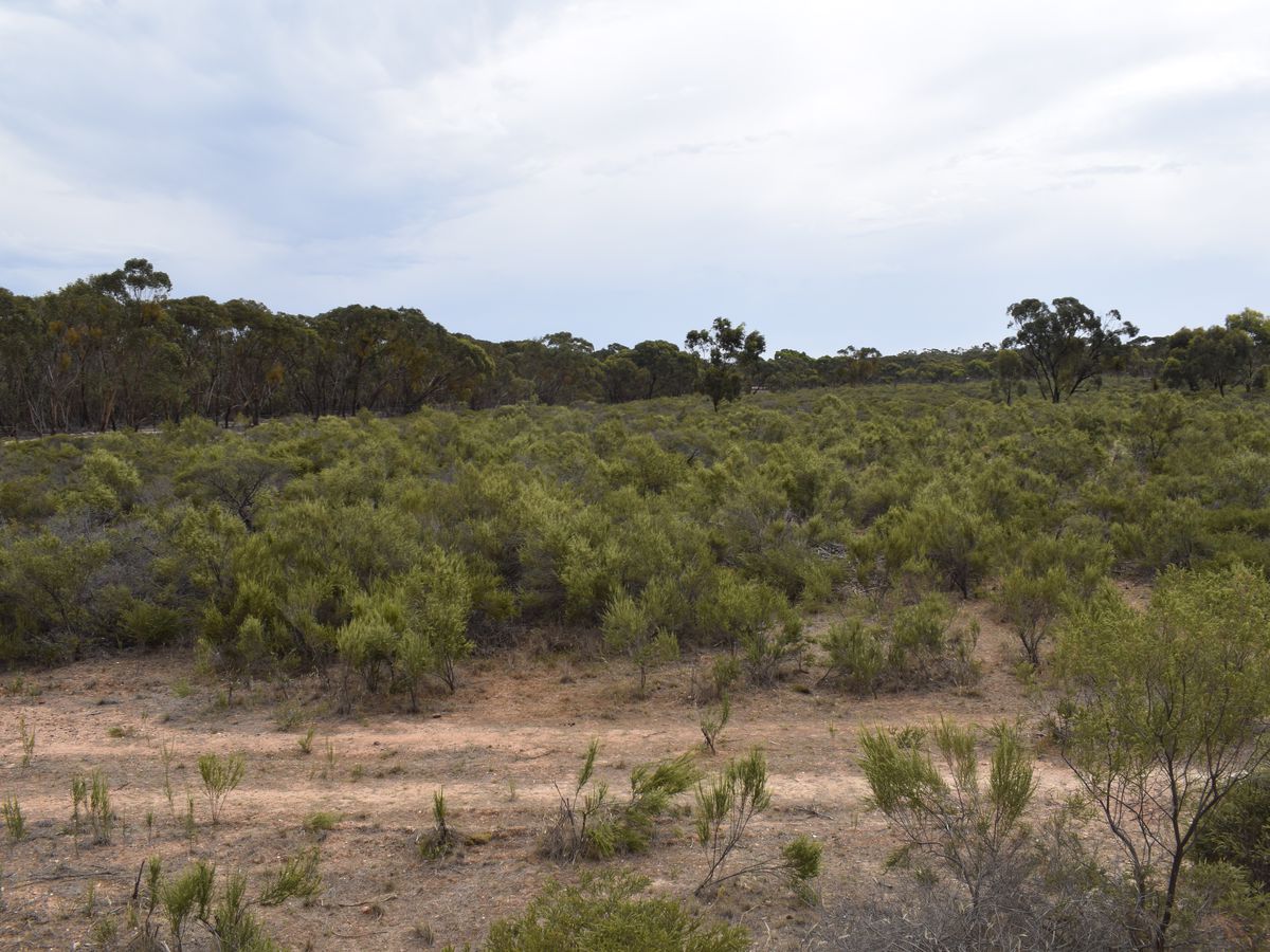 Inglewood-Salisbury Road, Inglewood