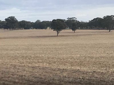 Cnr   Speers & Ryan Rd  , Corop