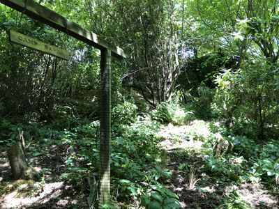 59 and 61 Wilson Road, Balclutha