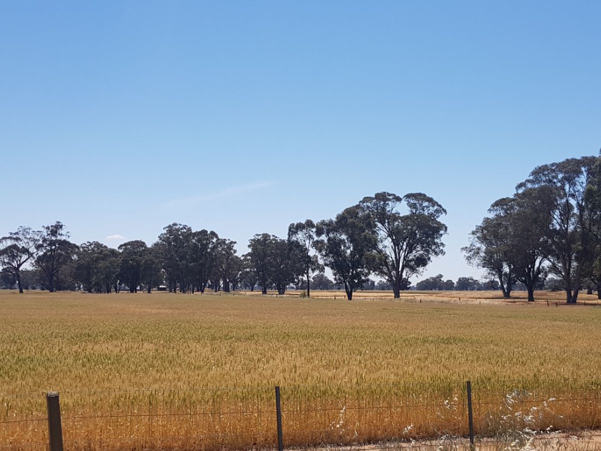 2019 Katandra Main Road, Yabba North