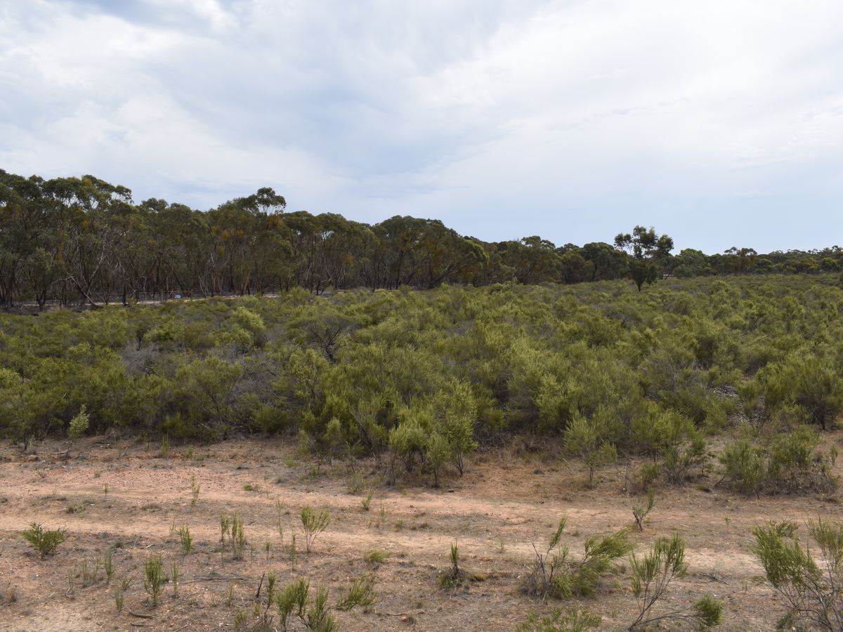 Inglewood-Salisbury Road, Inglewood