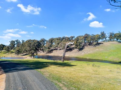 95 Daisyburn Road, Hilldene