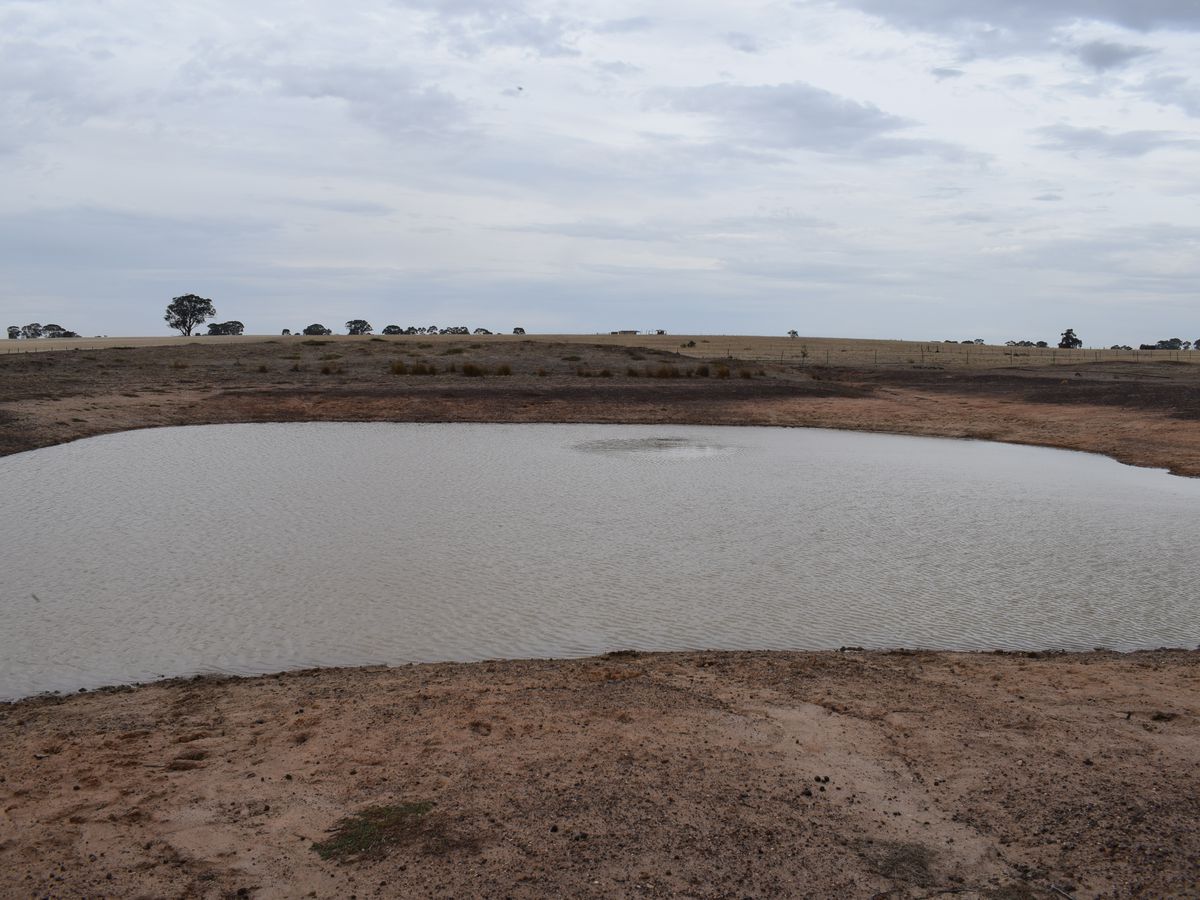 Lot 43, MCGUIRES ROAD, Bridgewater