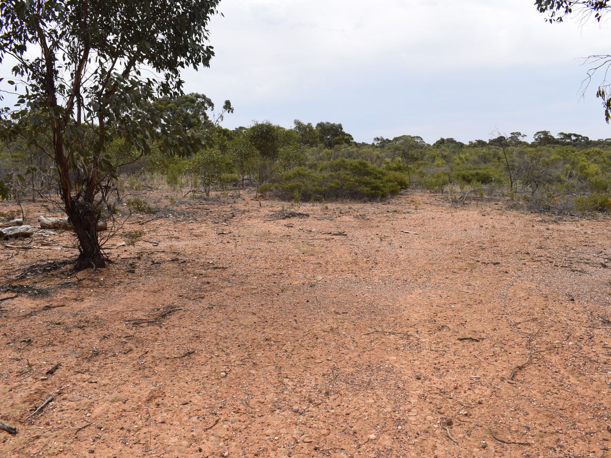Inglewood-Salisbury Road, Inglewood