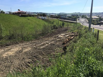 46 Lewin Street, Balclutha