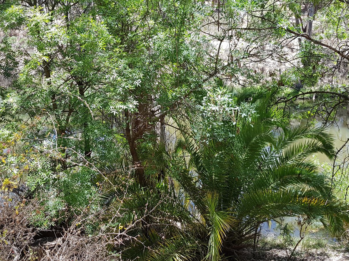 16 Bridge Road, Rochester