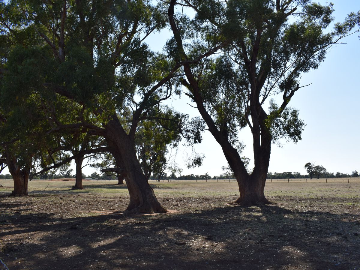 CA 5 BRIDGEWATER-DUNOLLY ROAD, Bridgewater