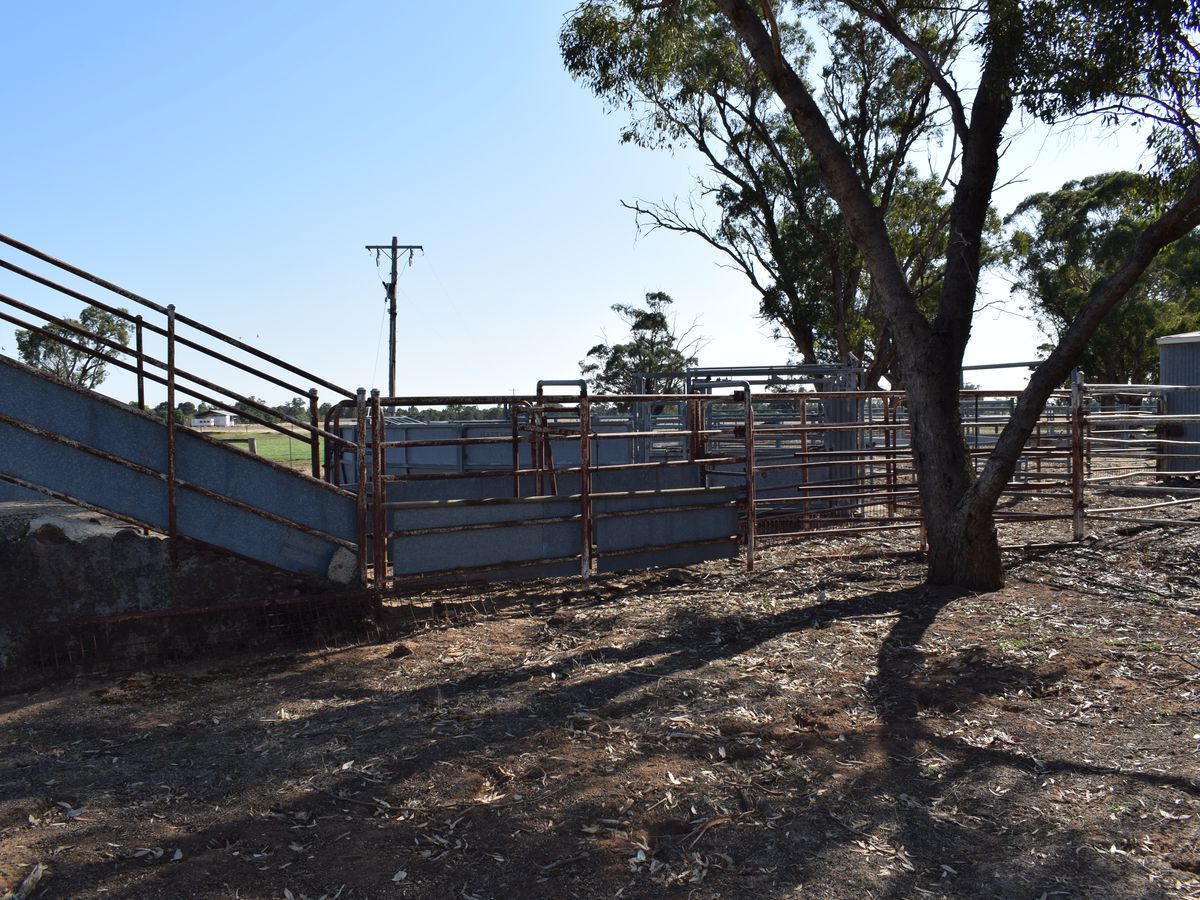 CA 5 BRIDGEWATER-DUNOLLY ROAD, Bridgewater