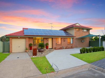 6 Omega Place, St Clair