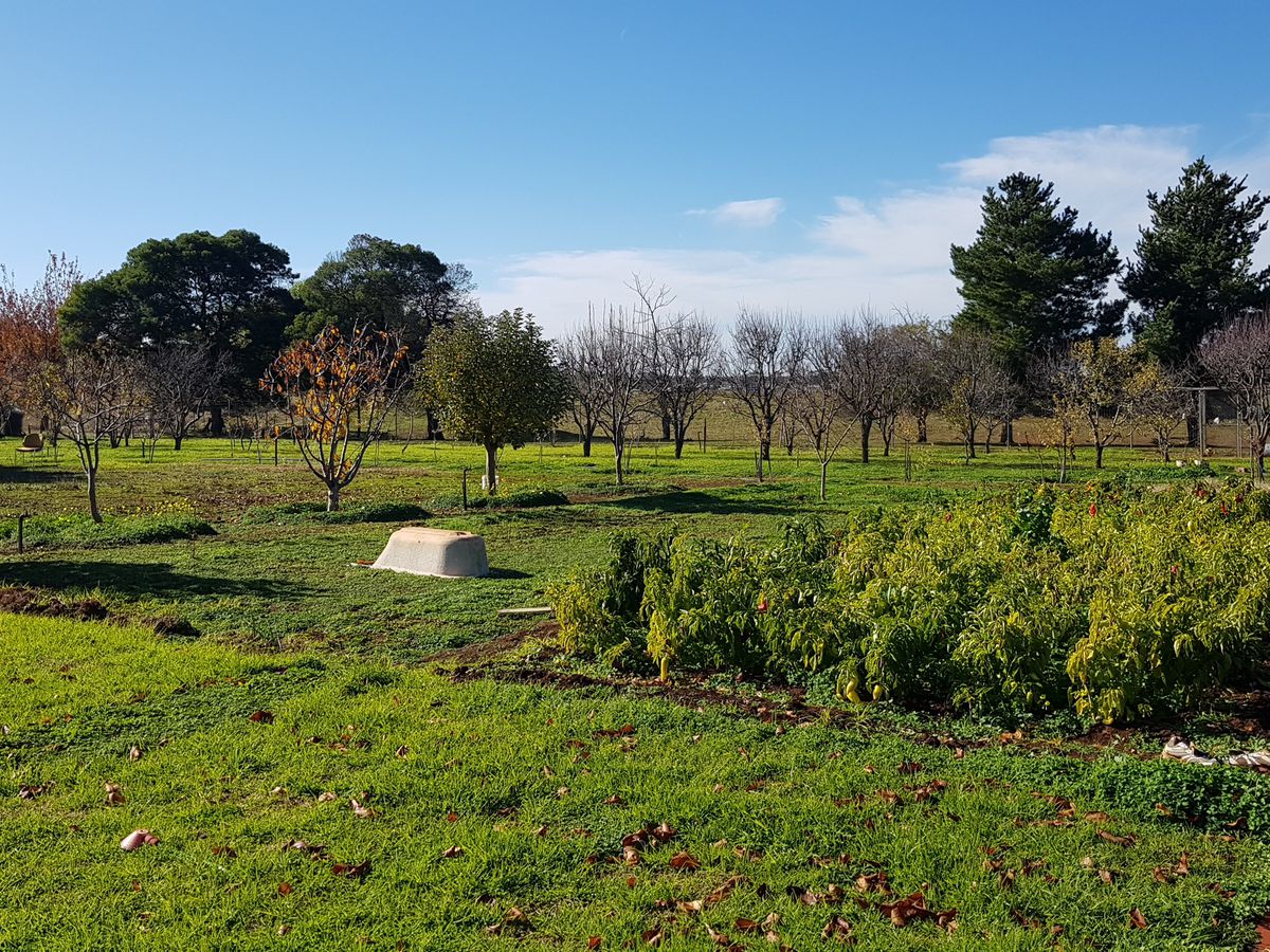 50 School Road, Corop