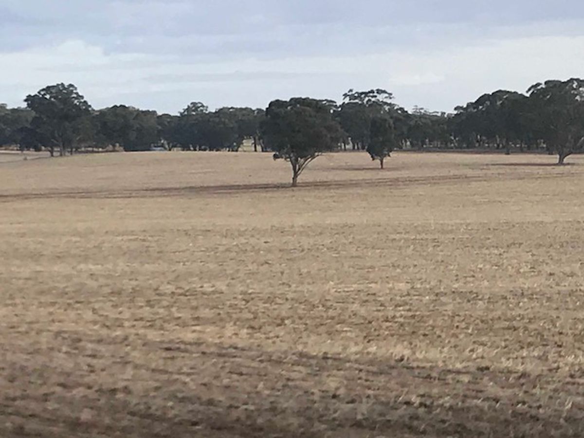 Cnr   Speers & Ryan Rd  , Corop