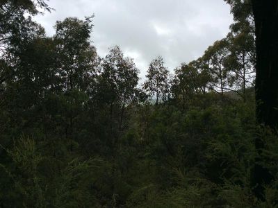 50 Bushy Park Estate Road, Kinglake