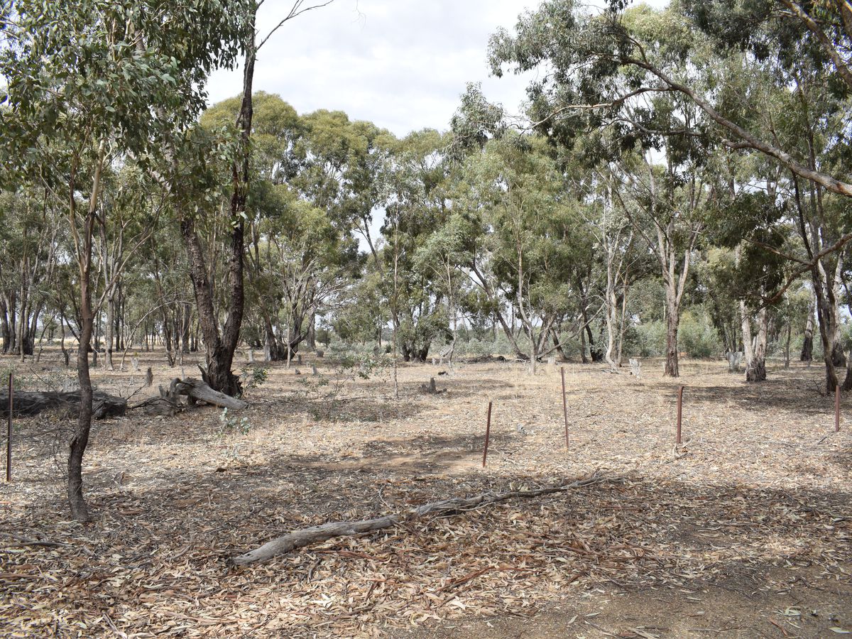 Lot 23, Wet Lane, Inglewood