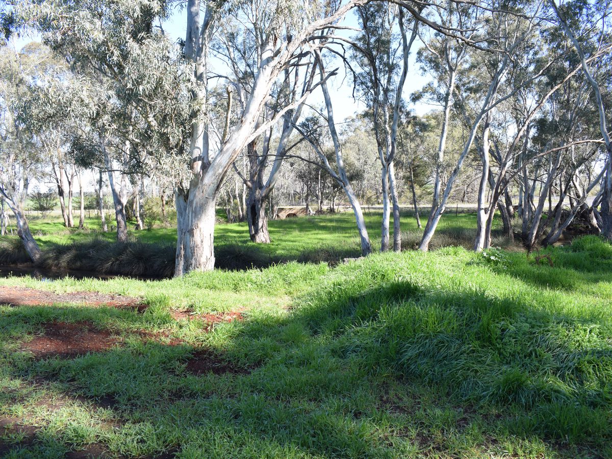 333 Rheola-Arnold Road, Arnold