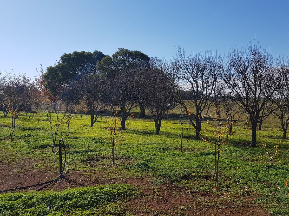 50 School Road, Corop