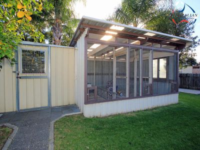 11 Kalambo Place, St Clair