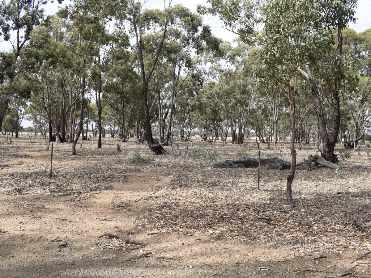 Lot 23, Wet Lane, Inglewood
