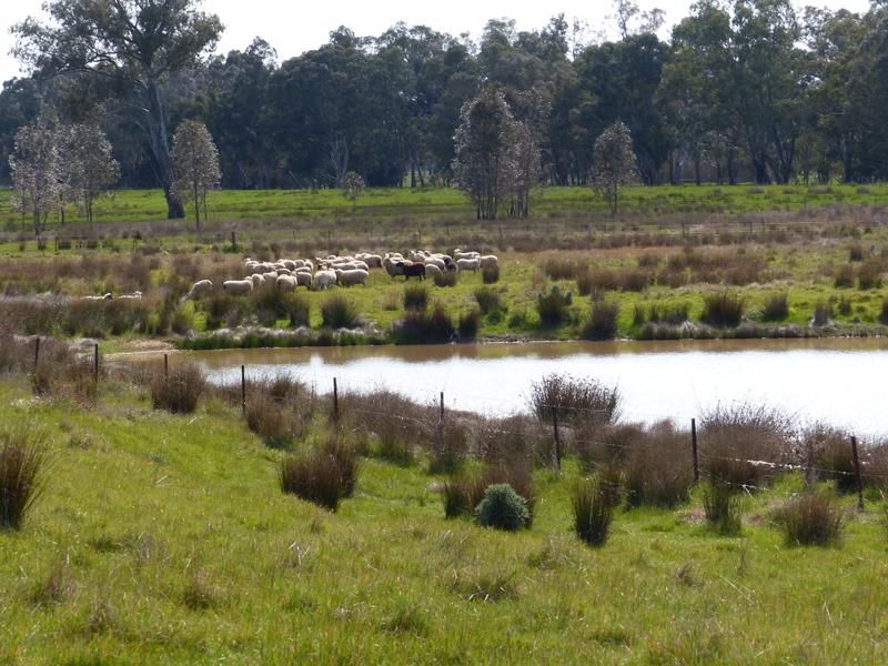 580 Northwood Road, Seymour