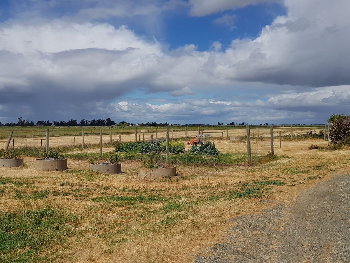 1336 Scobie Road, Tongala