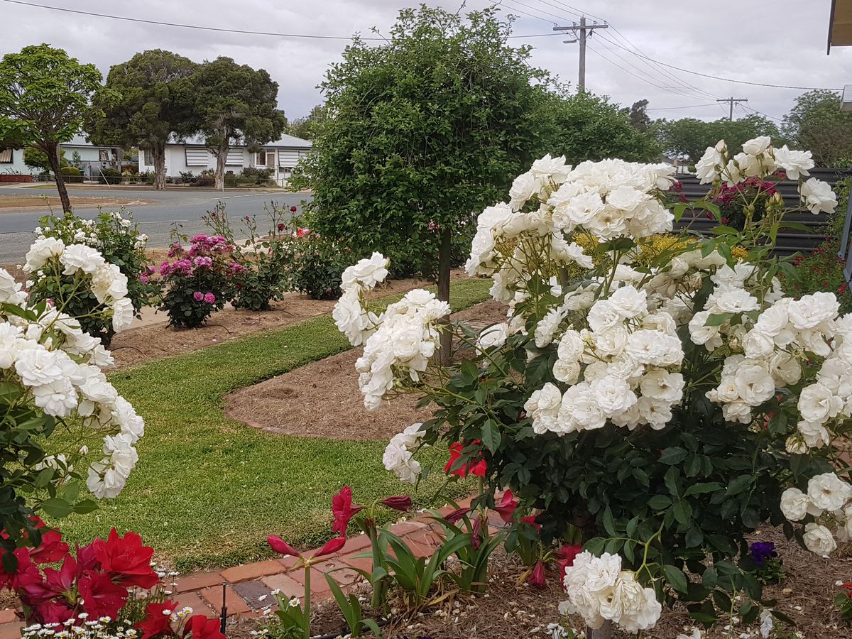 68 Victoria Street, Rochester