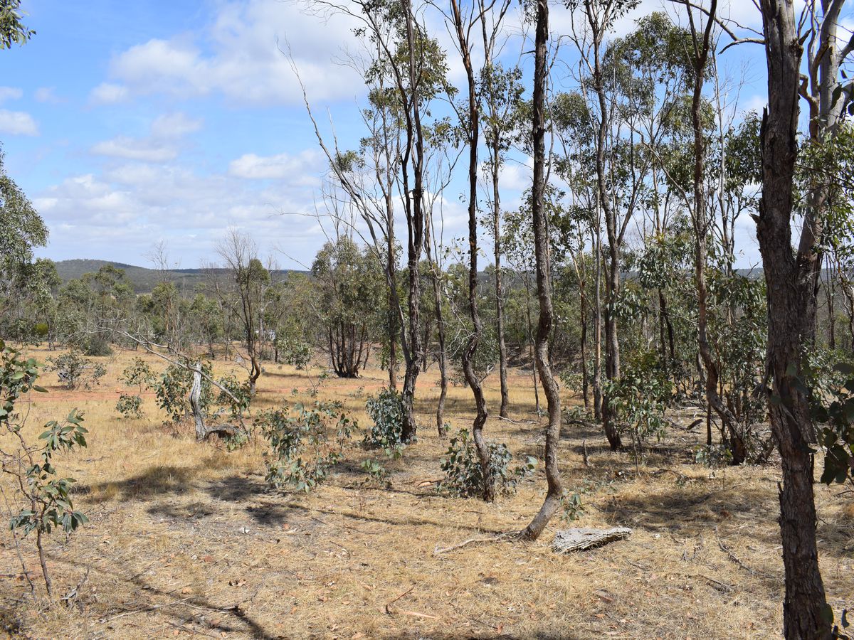 140 O'Briens Drive, Mcintyre